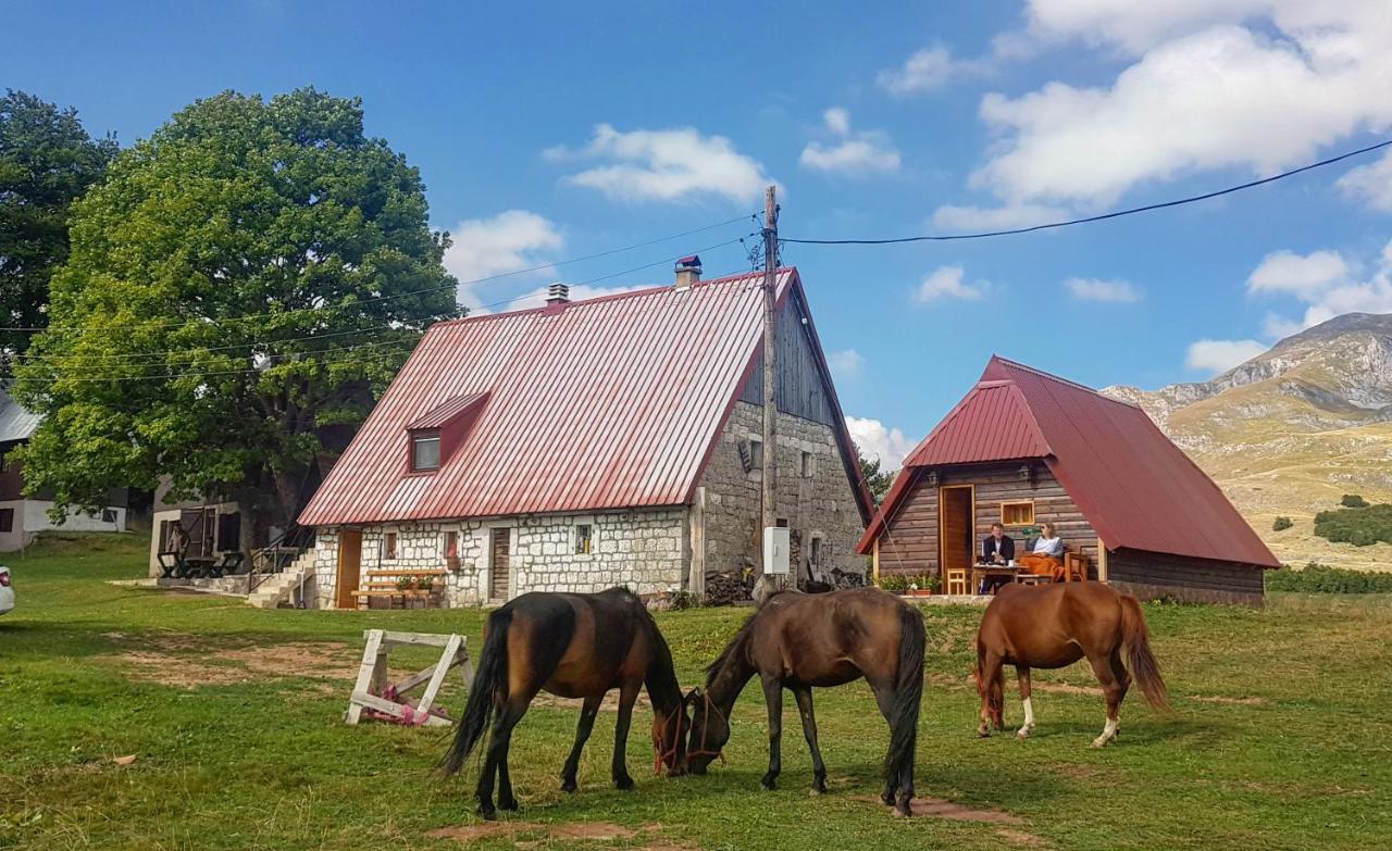 Etno Selo Smrcevo Brdo Daire Žabljak Dış mekan fotoğraf